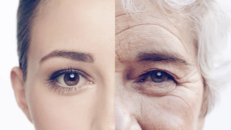 تغییرات پوست با افزایش سن | بهترین مطب زیبایی اصفهان