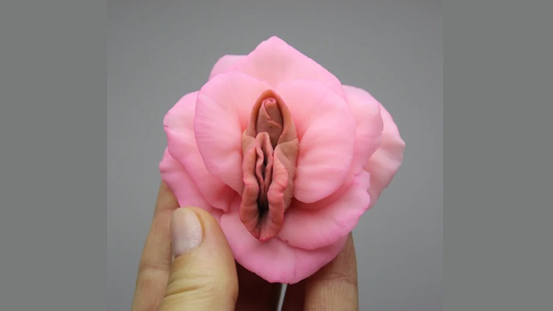 عوارض دیررس جراحی زیبایی واژن | فیلر ژنیتال اصفهان | دکتر مهناز کبیریان